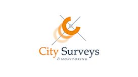 City Surveys