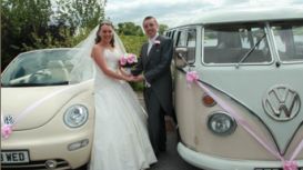 Beetles About Wedding Car